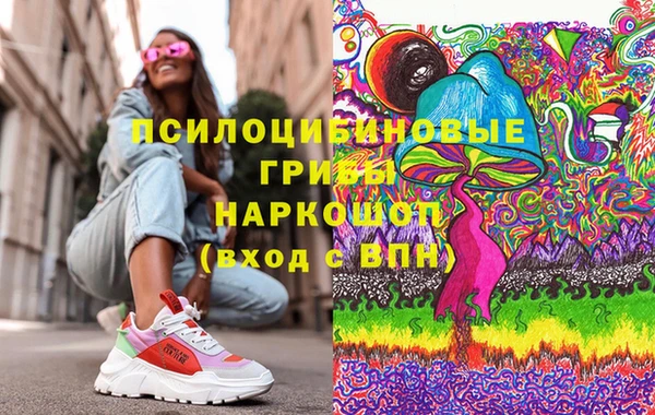 ПСИЛОЦИБИНОВЫЕ ГРИБЫ Аркадак