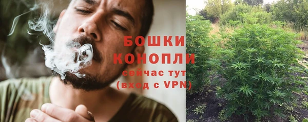 ПСИЛОЦИБИНОВЫЕ ГРИБЫ Аркадак