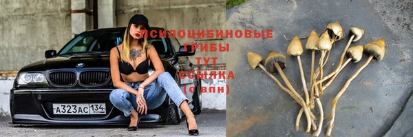 кристаллы Арсеньев