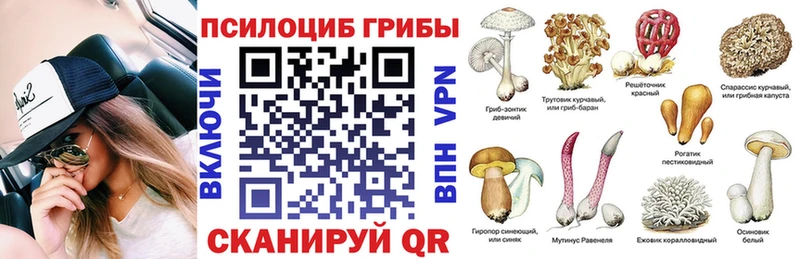 гидра ONION  где купить   Ржев  Псилоцибиновые грибы Psilocybine cubensis 